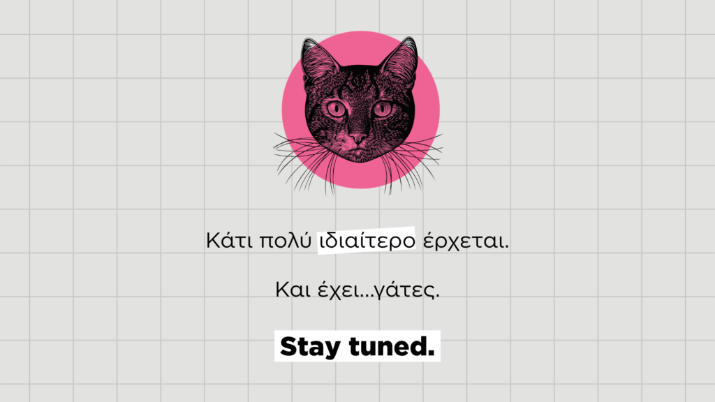 All About Cats - Coming Soon