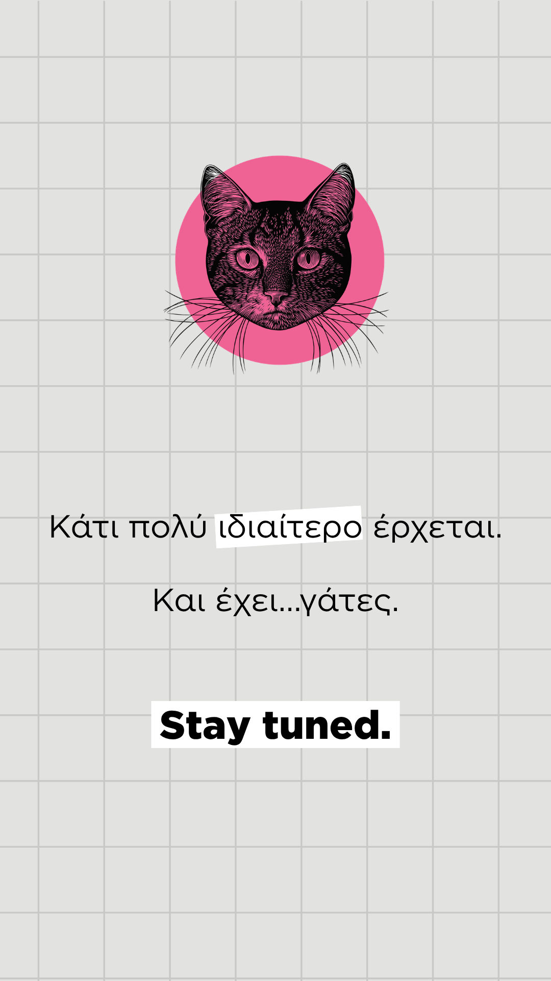 All About Cats - Coming Soon Mobile
